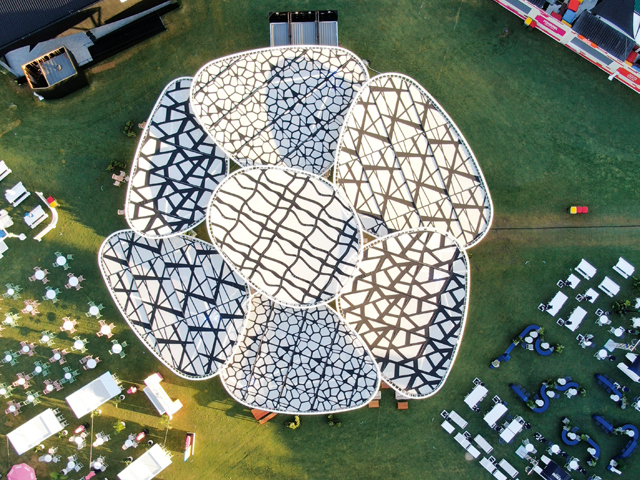 An Ace at the Australian Open